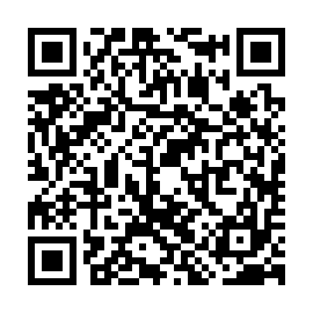QR code for WIR317
