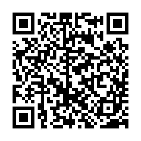 QR code for WIR383