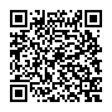 QR code for WIT335