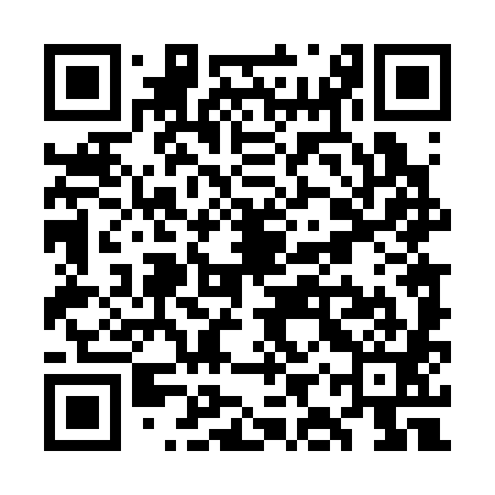 QR code for WIT381