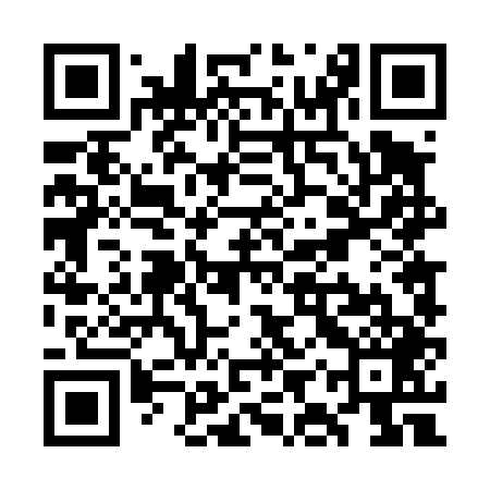 QR code for WIT449