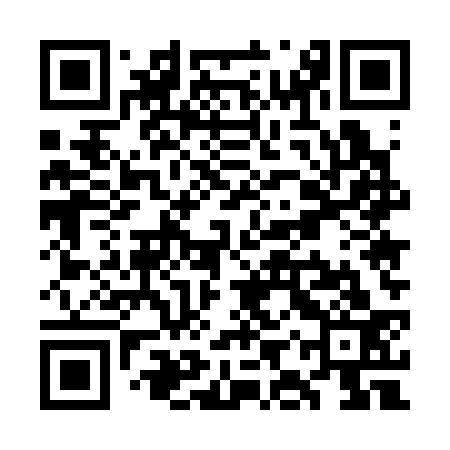 QR code for WIU333