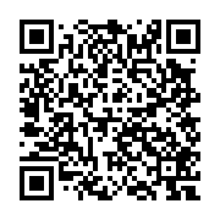 QR code for WJG009
