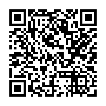QR code for WLN993