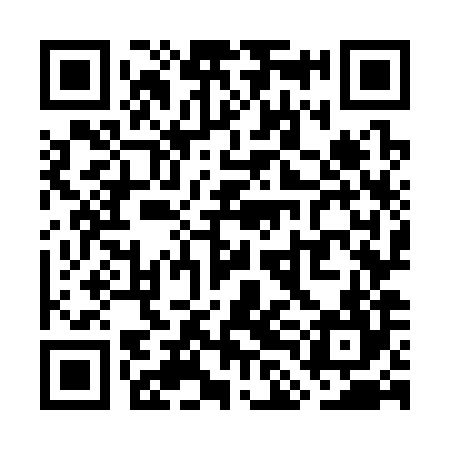 QR code for WLO384