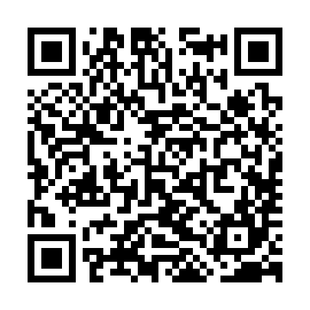 QR code for WLR384