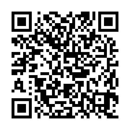 QR code for WLR981