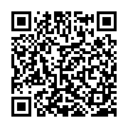 QR code for WLU383
