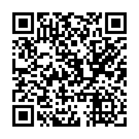 QR code for WLX917