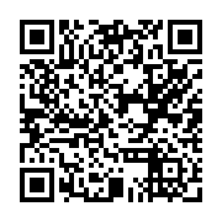 QR code for WMG011