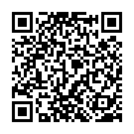QR code for WMS539