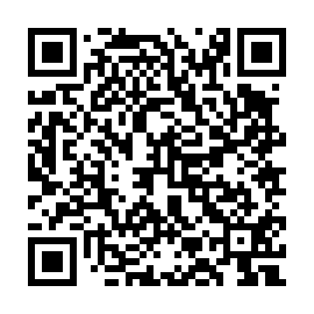 QR code for WMZ411