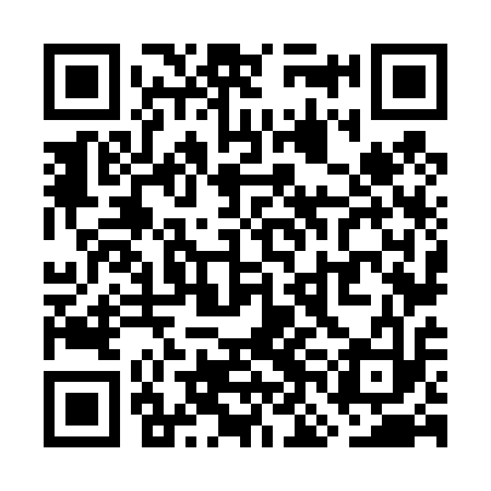 QR code for WNN413