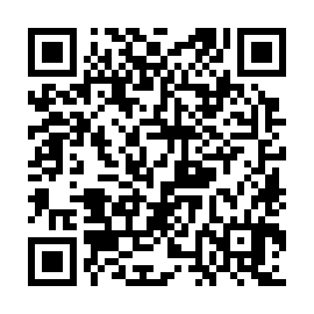 QR code for WNO384