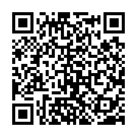 QR code for WNT739