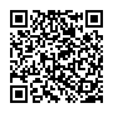 QR code for WPI379