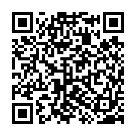 QR code for WPI613