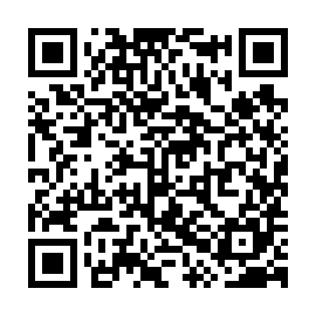 QR code for WPI685
