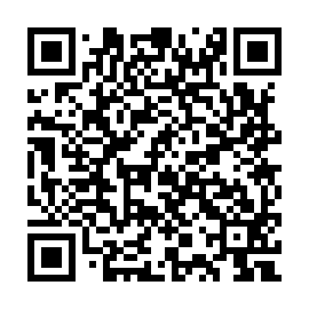 QR code for WPS993