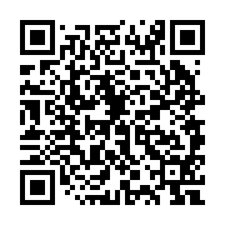 QR code for WPV294