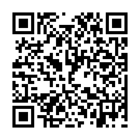 QR code for WPV386