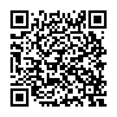QR code for WPY387