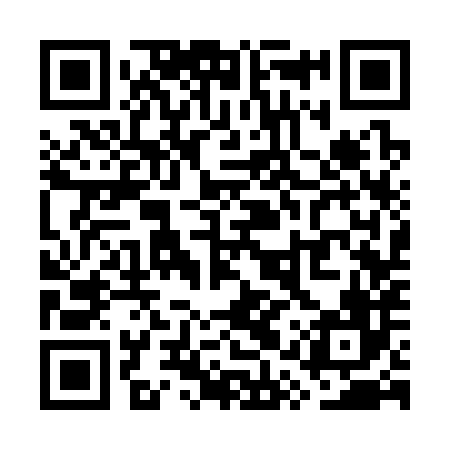 QR code for WQS386