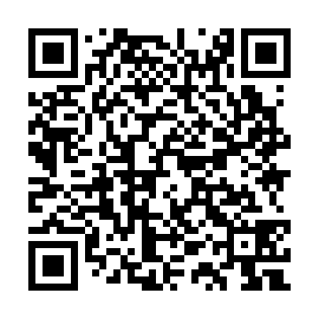 QR code for WQY338