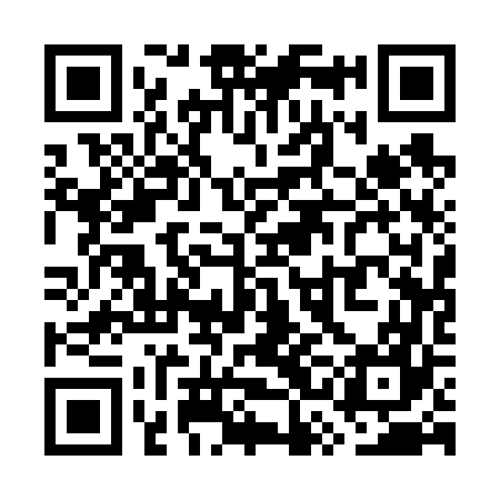 QR code for WSA667
