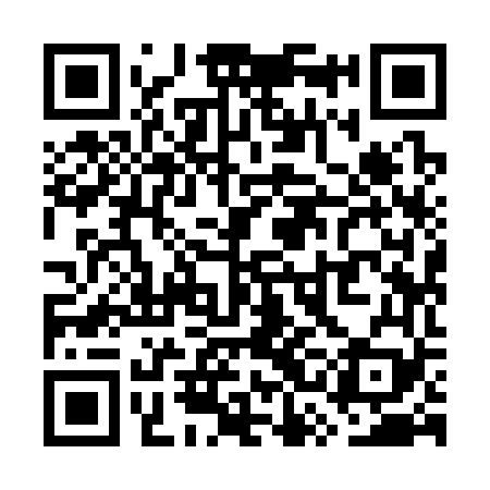 QR code for WSI369
