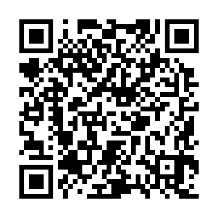 QR code for WSI383