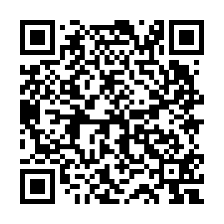 QR code for WSI611