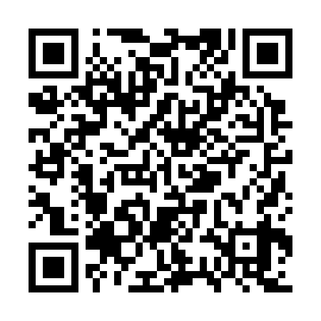QR code for WSJ339