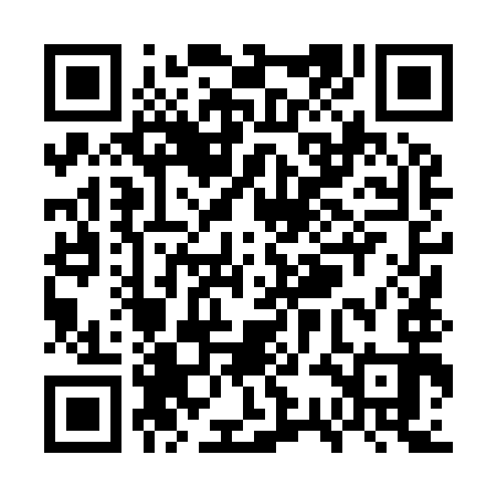 QR code for WSL993