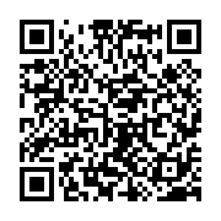 QR code for WSN011