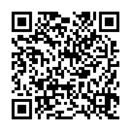 QR code for WSP234