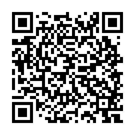 QR code for WSP382