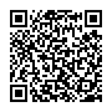 QR code for WSW699