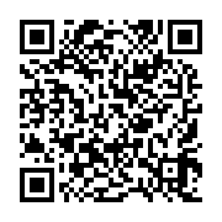 QR code for WSY919