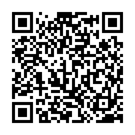 QR code for WWI333