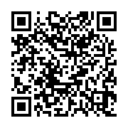 QR code for WWV133