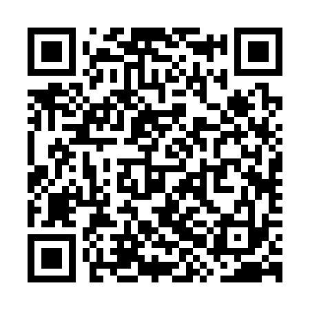 QR code for WXB333