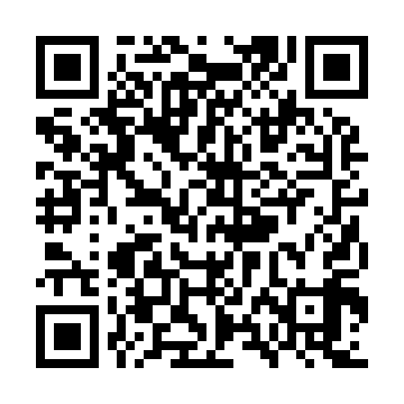 QR code for WXB919