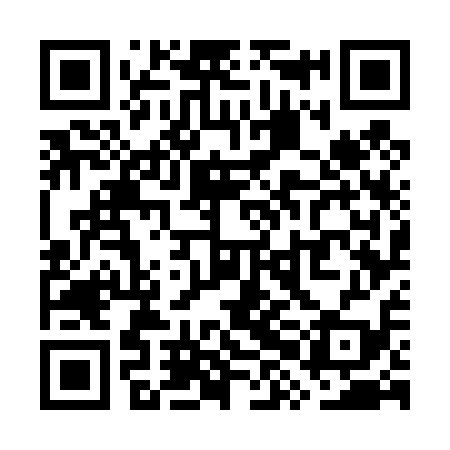 QR code for WXG419