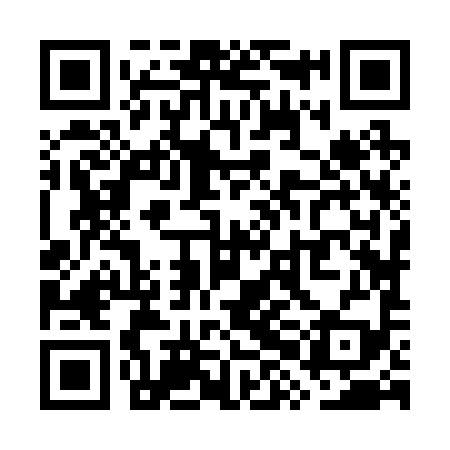 QR code for WXJ299