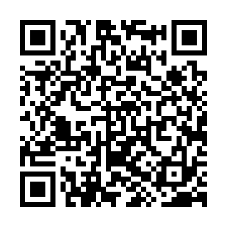 QR code for WXT333