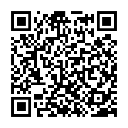 QR code for WYQ538