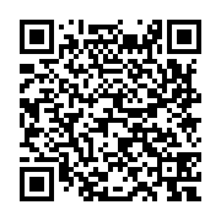 QR code for WYQ938