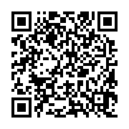 QR code for WYU384