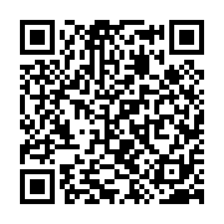 QR code for WYV011